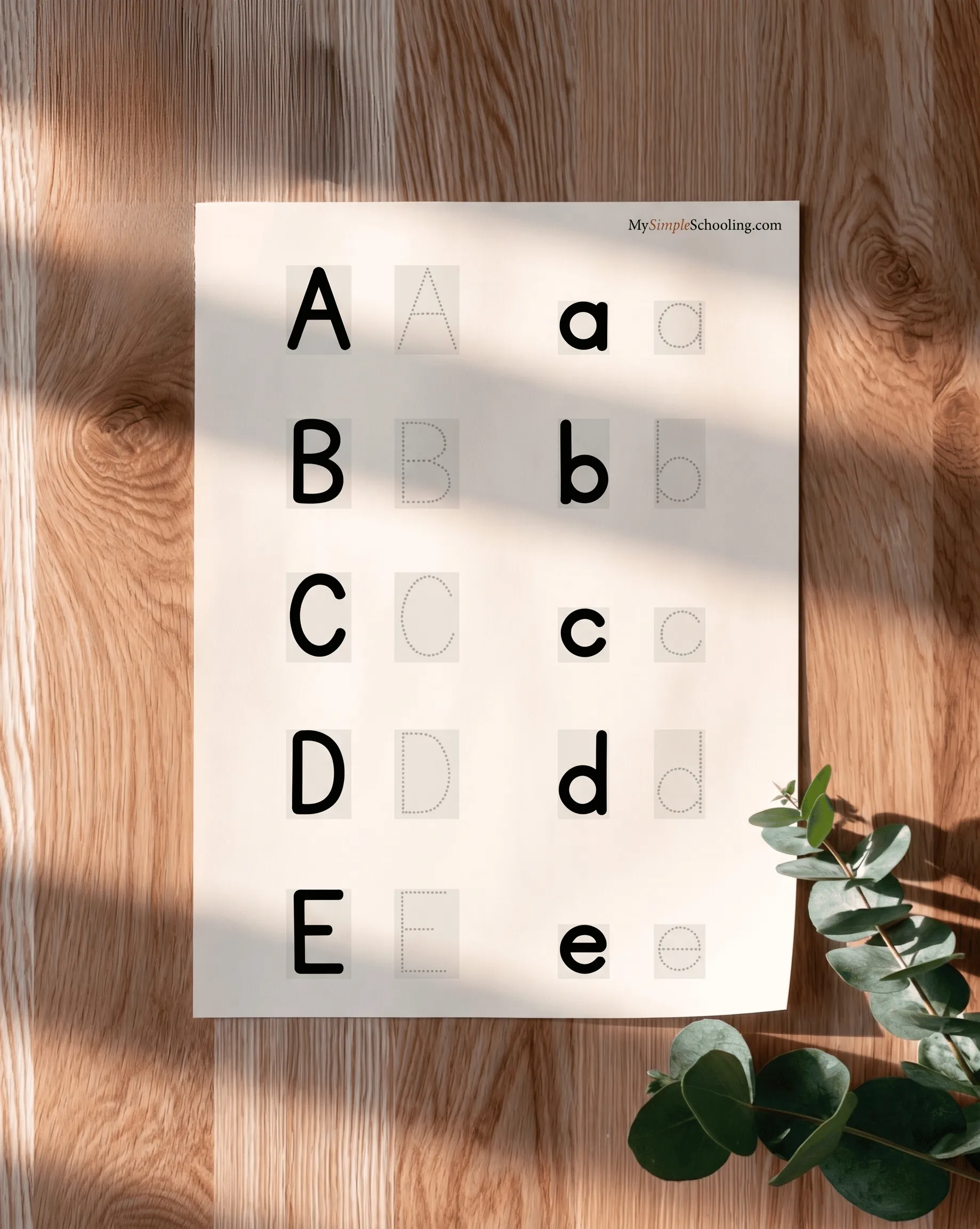 A Level 1 Alphabet Overview sheet: every letter shown large next to a dotted, traceable version.